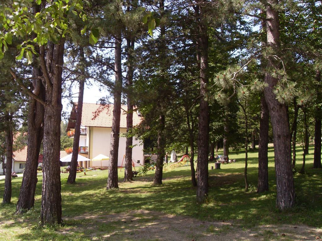 Guest House Colovic Златибор Экстерьер фото